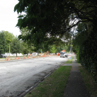 17. The work extends well along Victoria St. Cambridge Tree Trust